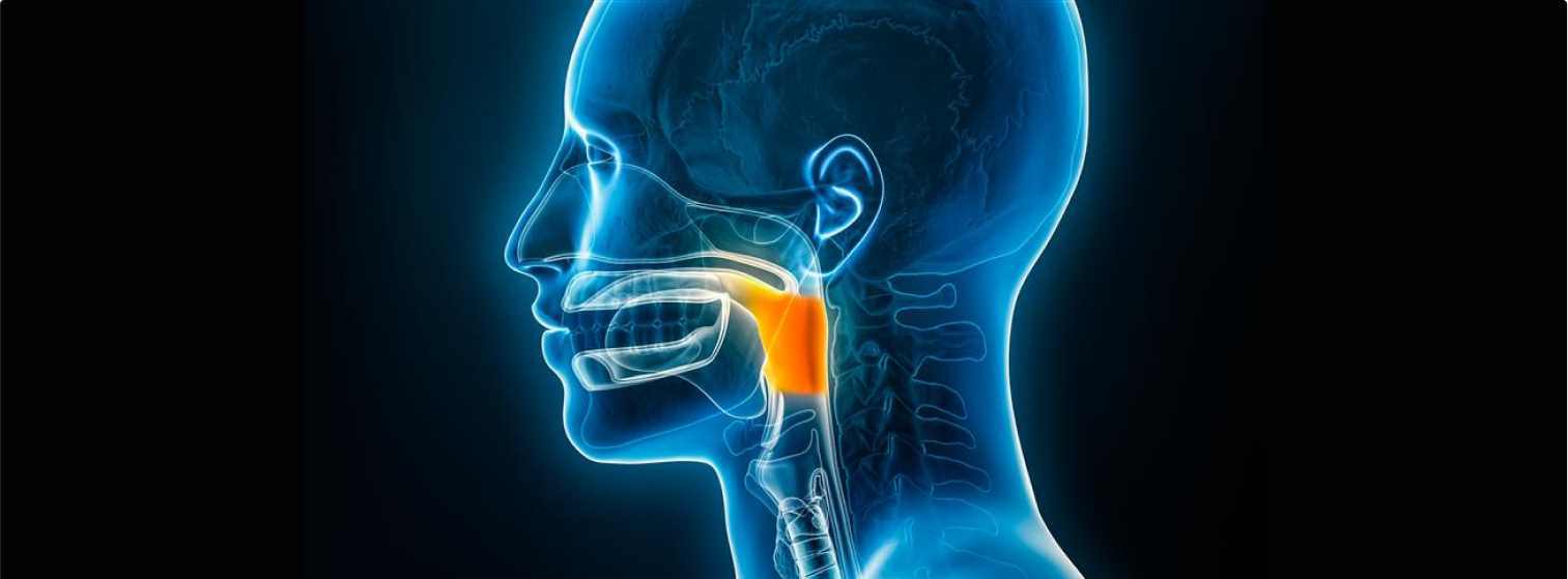 Dysphagia Management